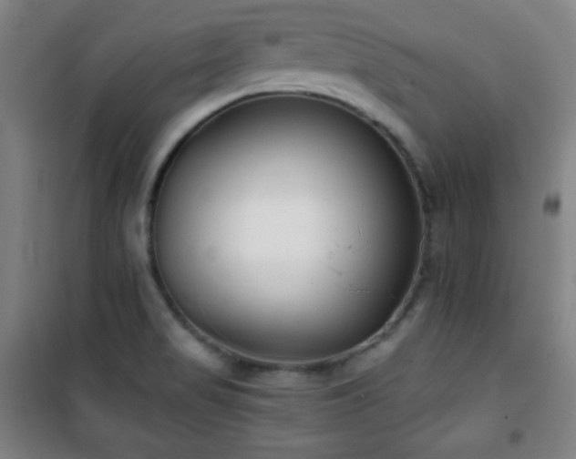 X0000101651517200807101219