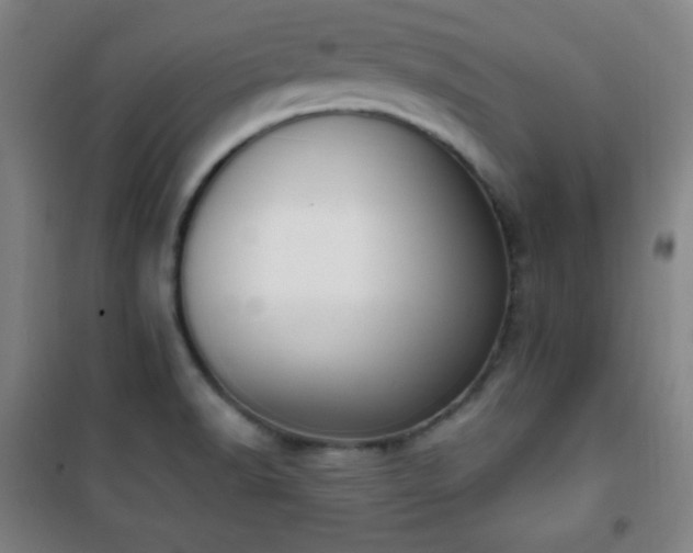 X0000101651518200807101219