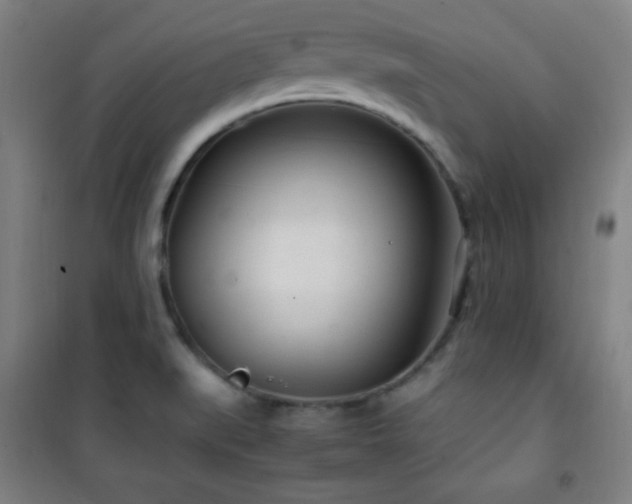 X0000101651519200807101219