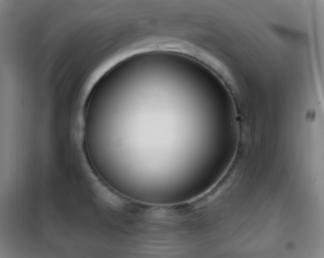 X0000101651520200807101219