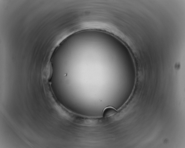 X0000101651521200807101219