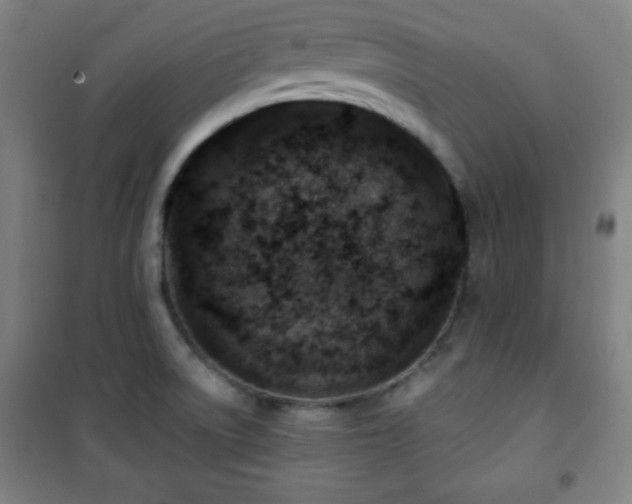 X0000101651522200807101219