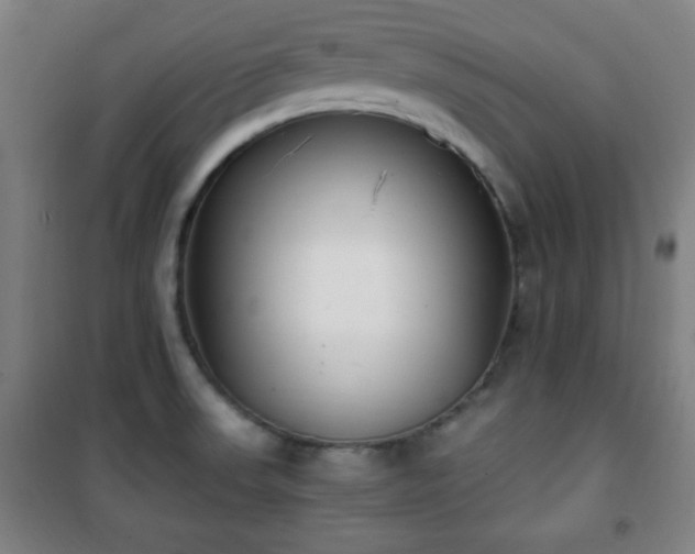 X0000101651523200807101219