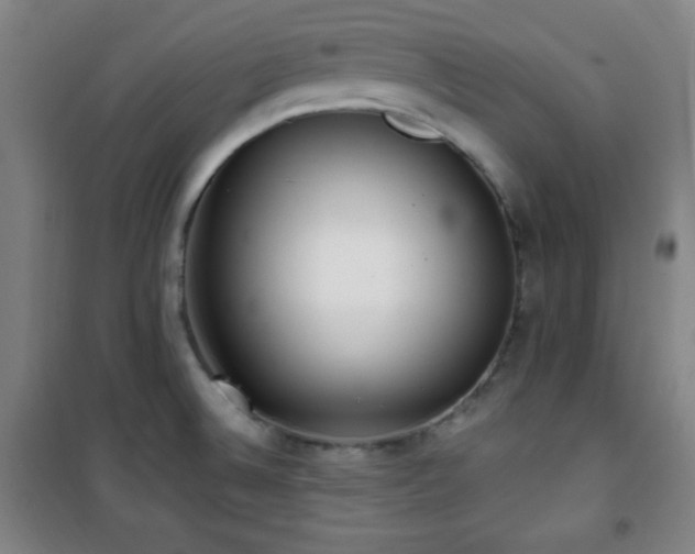 X0000101651524200807101219