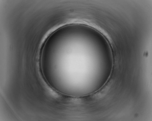 X0000101651525200807101219