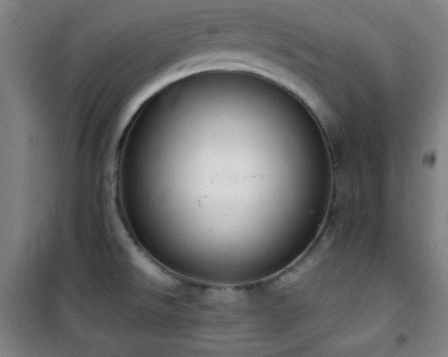 X0000101651526200807101219