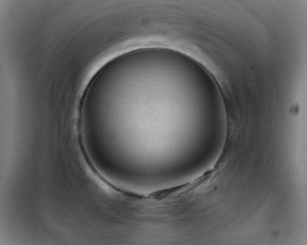 X0000101651527200807101219