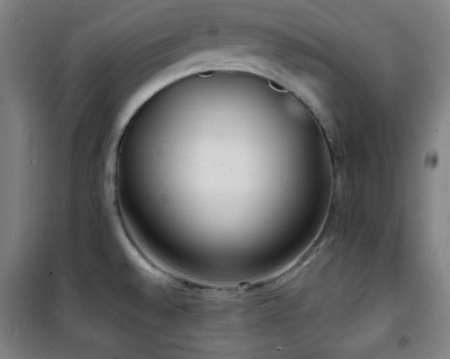 X0000101651528200807101219