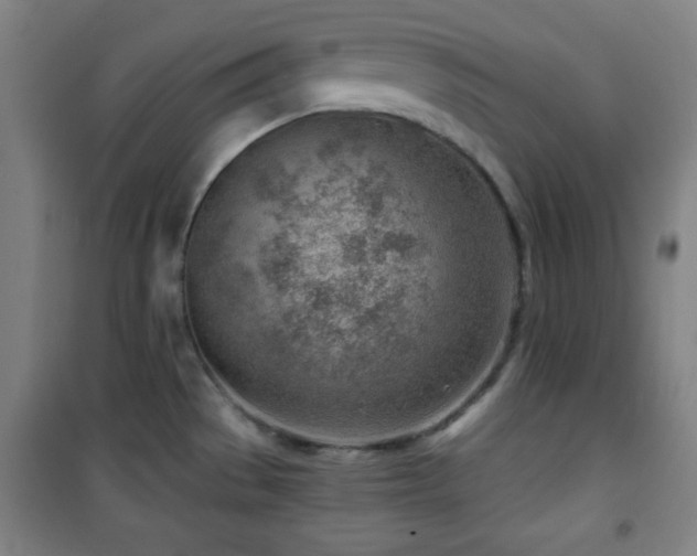 X0000101651529200807101219