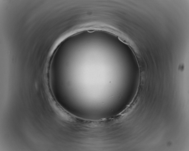 X0000101651530200807101219