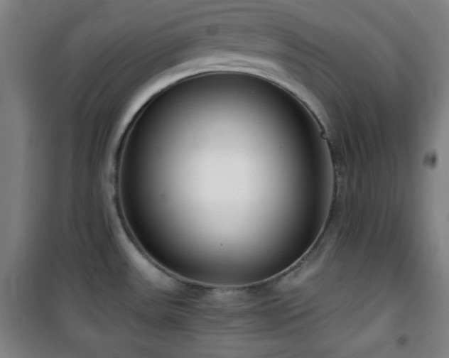 X0000101651531200807101219