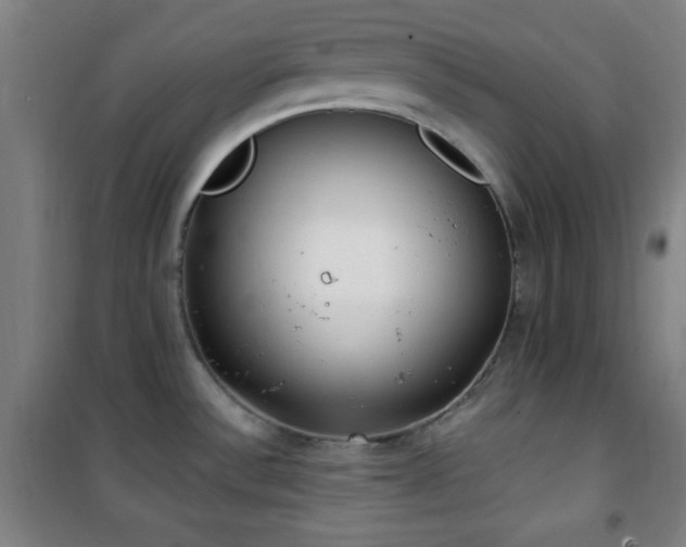 X0000101651532200807101219