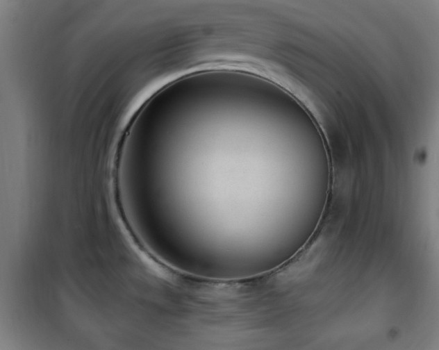 X0000101651533200807101219