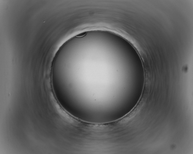X0000101651534200807101219