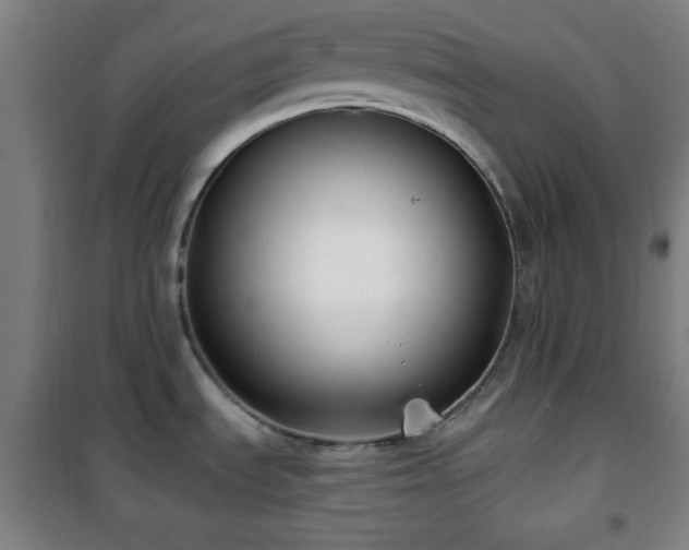X0000101651535200807101219