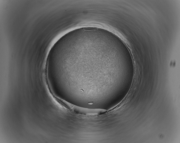 X0000101651536200807101219