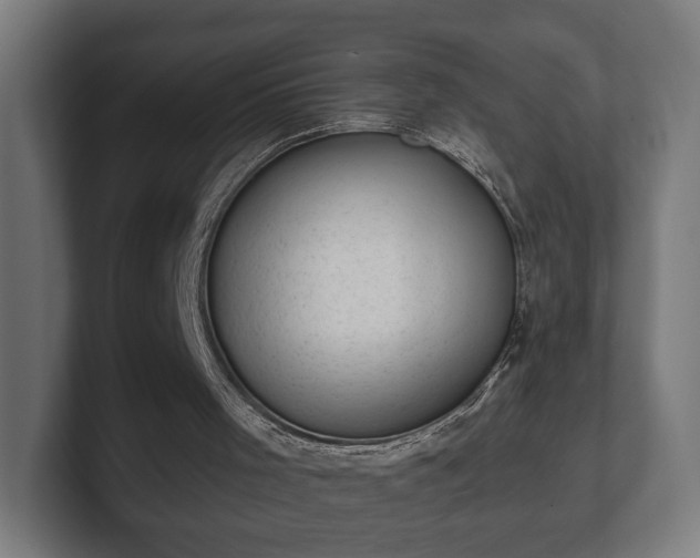 X0000101650001200807171303