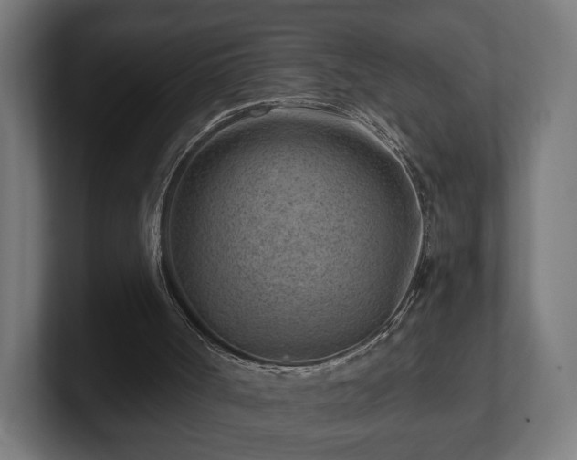 X0000101650002200807171303