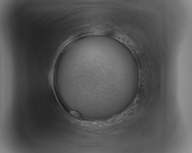 X0000101650003200807171303