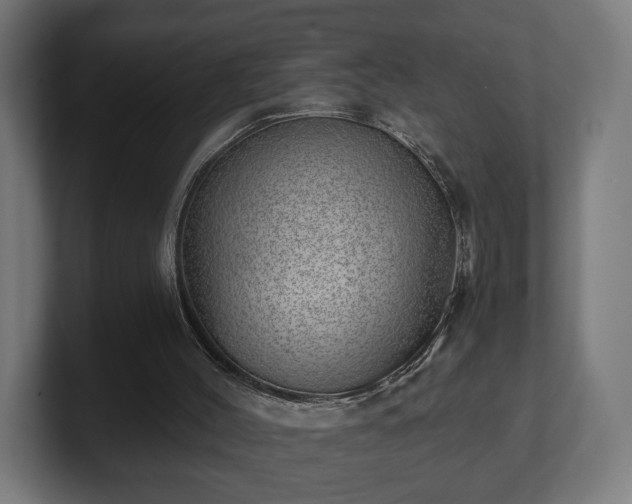 X0000101650004200807171303