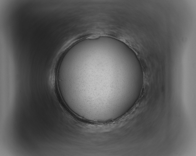 X0000101650005200807171303