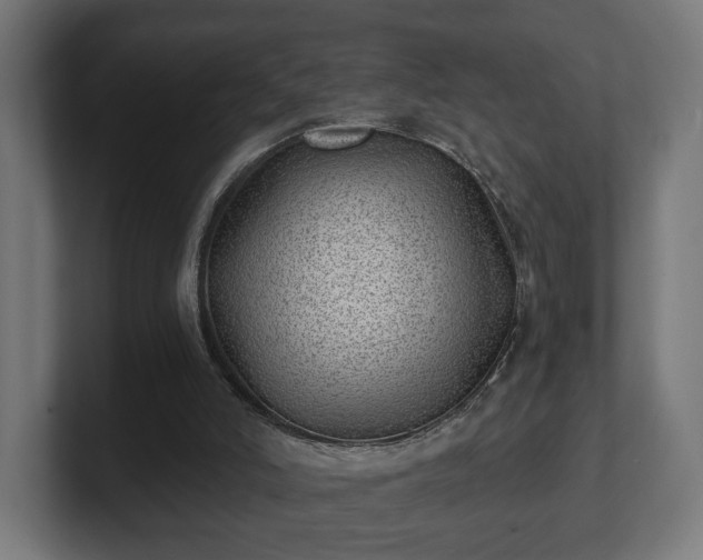 X0000101650006200807171303