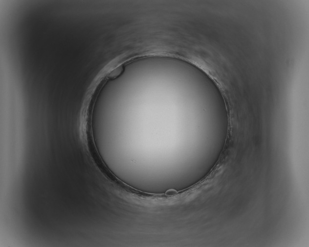 X0000101650007200807171303