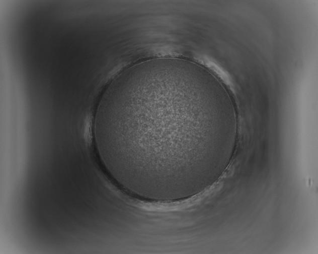 X0000101650009200807171303