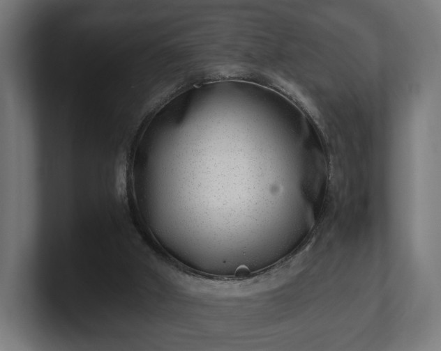 X0000101650010200807171303