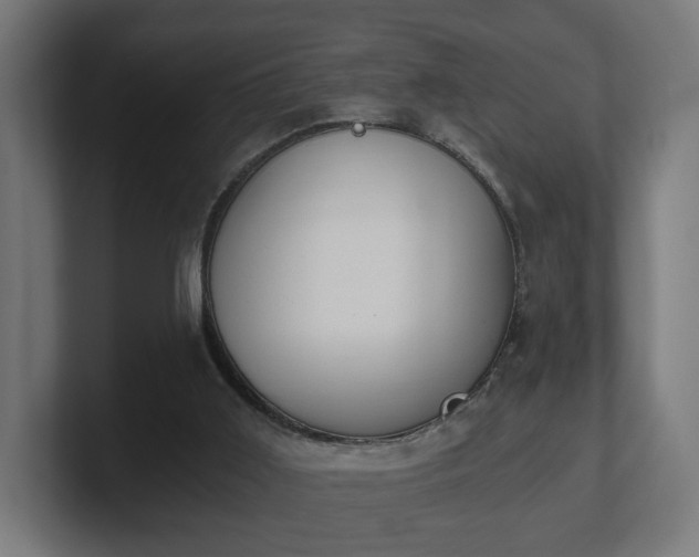 X0000101650011200807171303