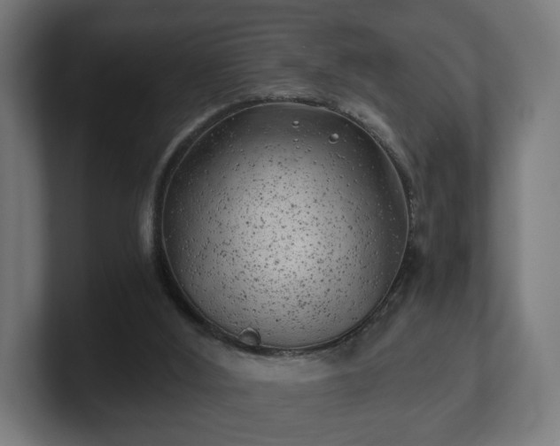 X0000101650012200807171303