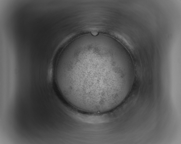 X0000101650016200807171302