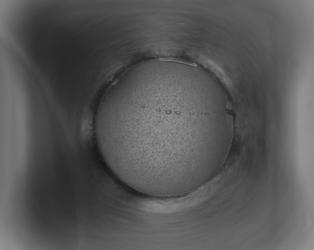 X0000101650017200807171302