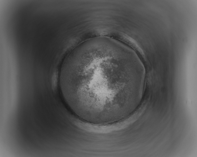 X0000101650018200807171302