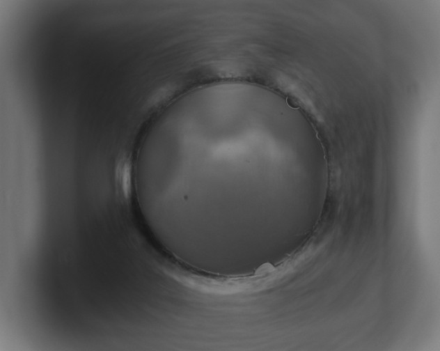 X0000101650019200807171302