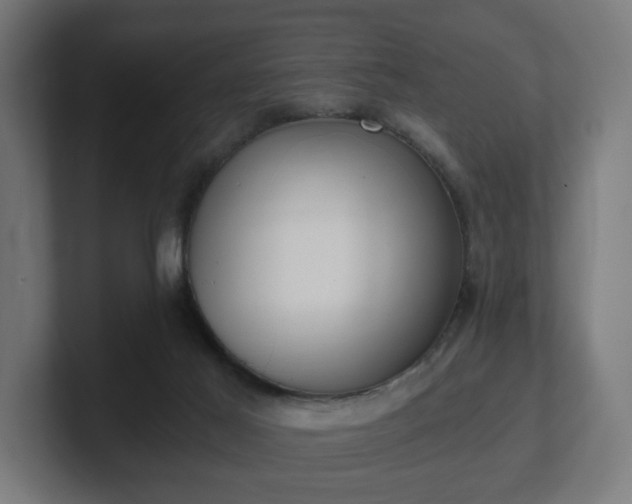 X0000101650021200807171302