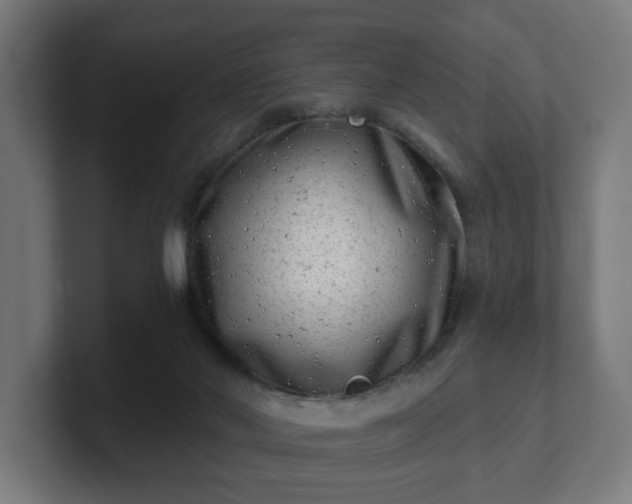 X0000101650022200807171302