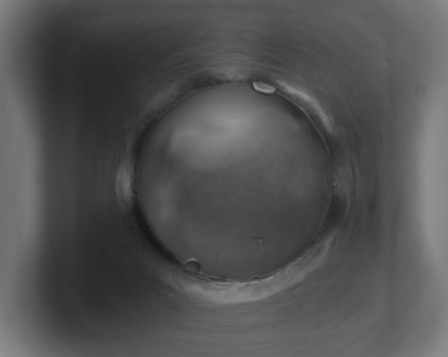 X0000101650023200807171302