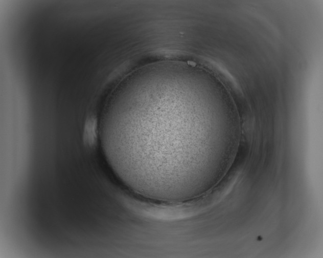 X0000101650024200807171302