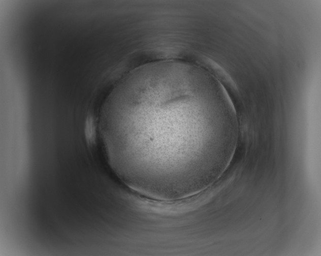 X0000101650026200807171302