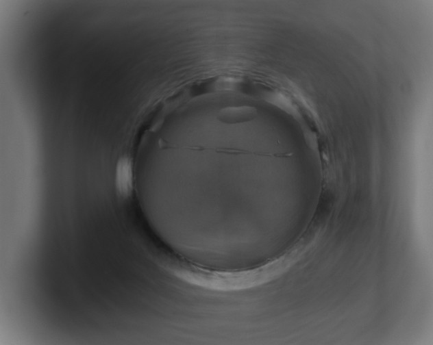 X0000101650027200807171302