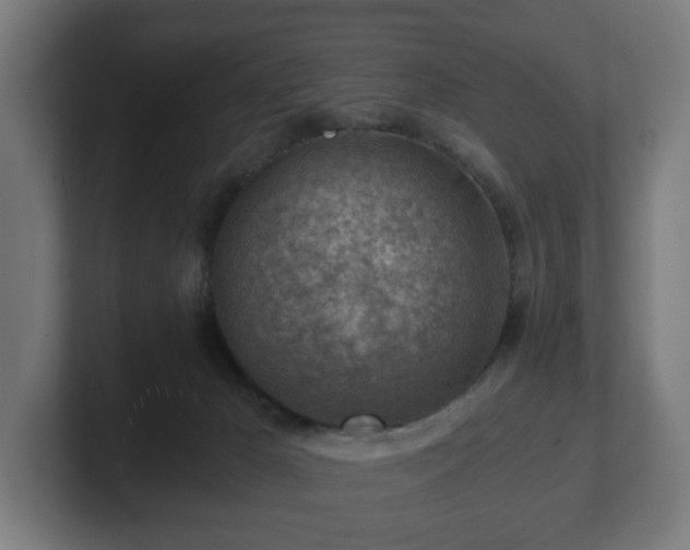 X0000101650029200807171302