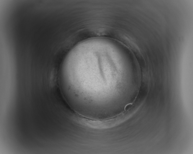 X0000101650030200807171302