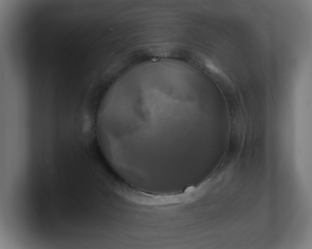 X0000101650031200807171302