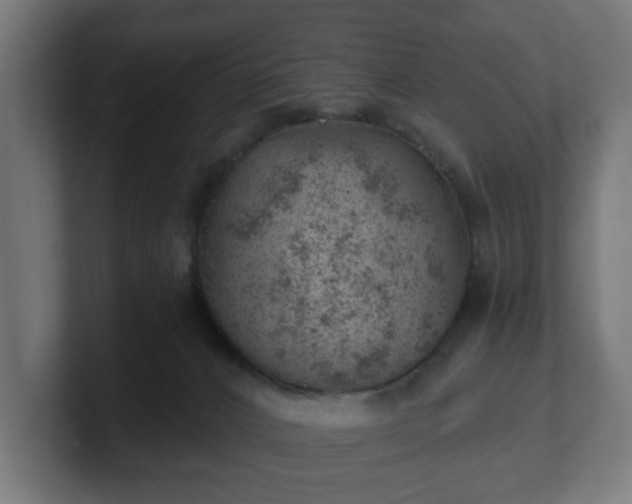 X0000101650032200807171302