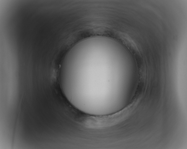 X0000101650033200807171302