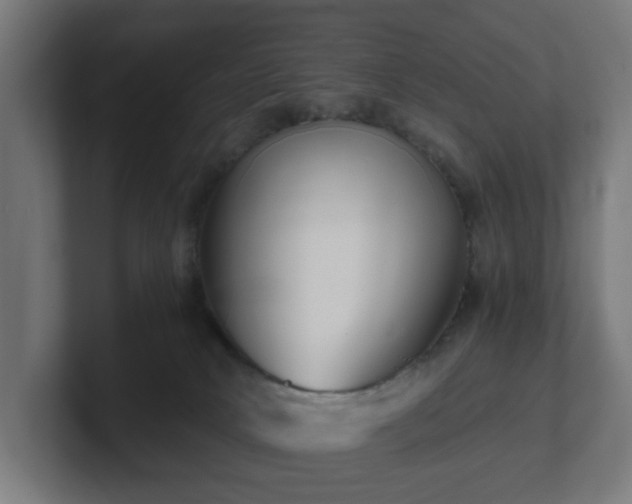 X0000101650034200807171302