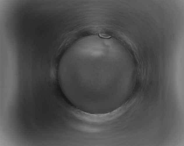 X0000101650035200807171302