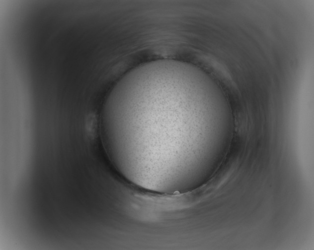 X0000101650036200807171302