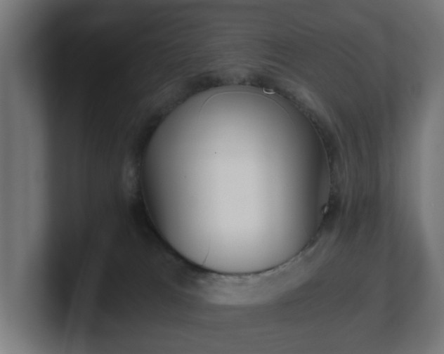 X0000101650037200807171302